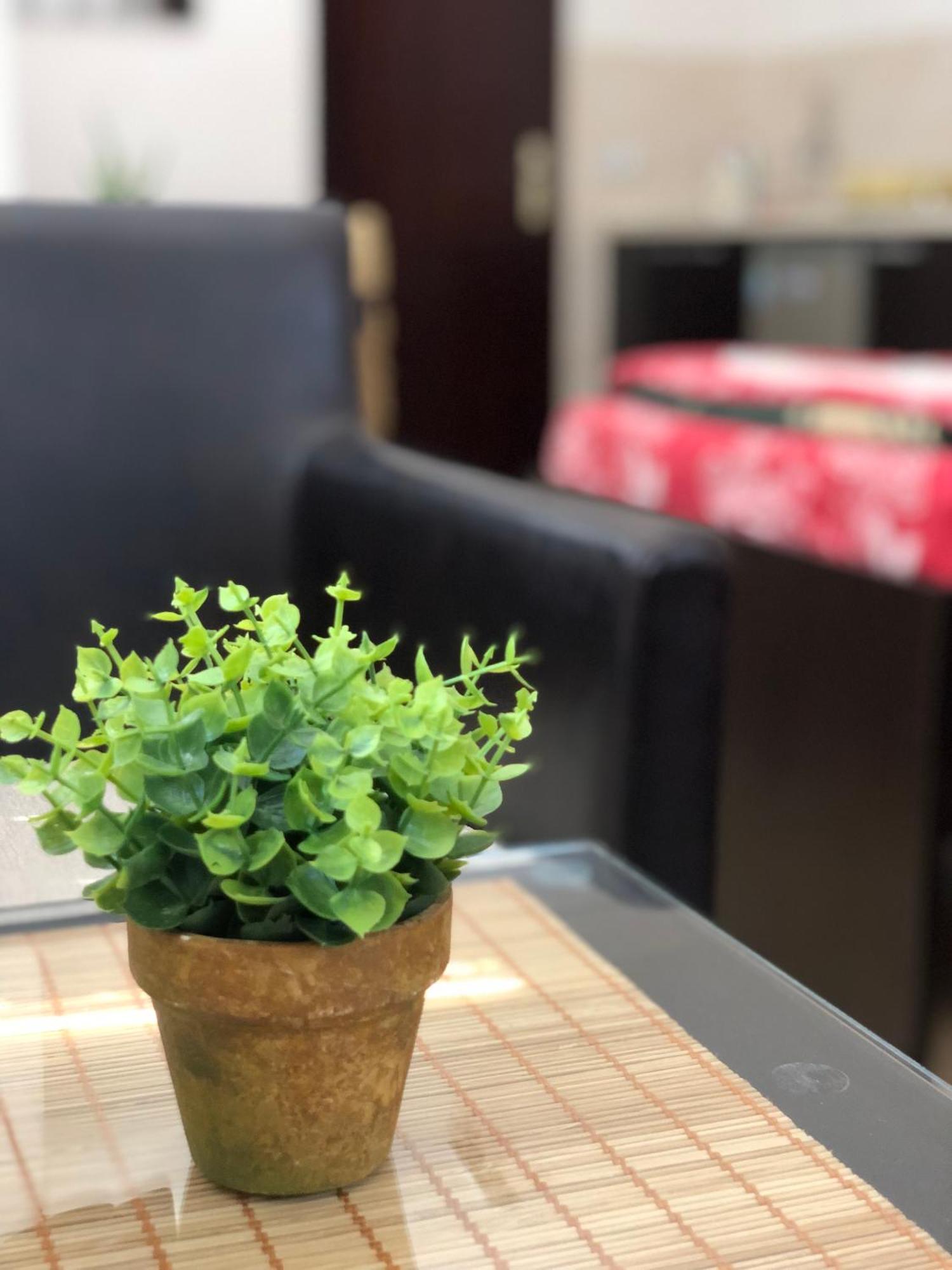 Katjel Apartments Οχρίδα Εξωτερικό φωτογραφία